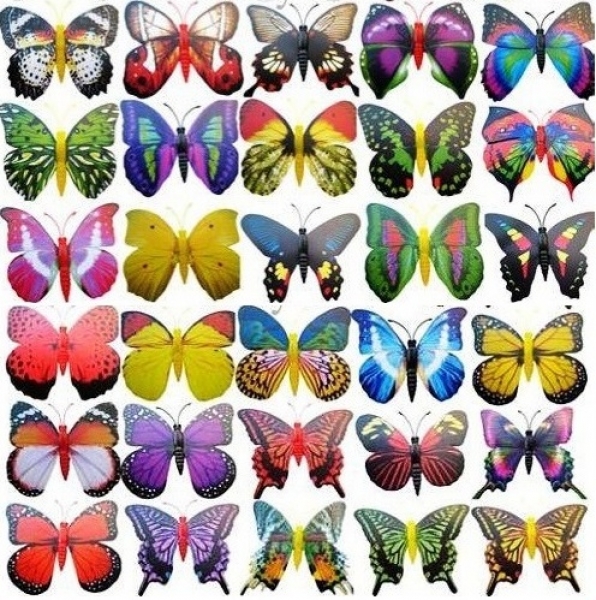 Magnet-Schmetterlinge ideale Dekoidee